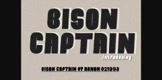 Bison Captain Font Poster 1