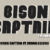 Bison Captain Font