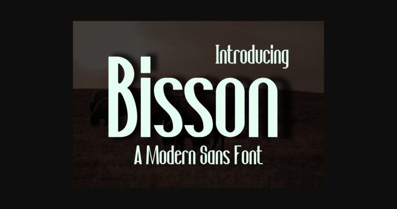 Bisson Font Poster 3