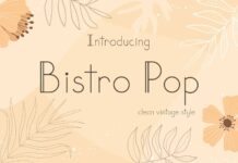 Bistro Pop Font Poster 1
