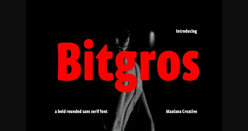 Bitgros Font Poster 3