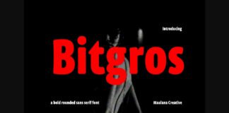 Bitgros Font Poster 1