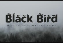 Black Bird Font Poster 1