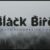 Black Bird Font