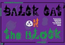 Black Cat on the Block Font Poster 1