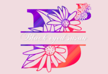 Black Eyed Susan Split Font Poster 1