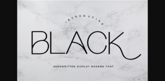 Black Font Poster 1