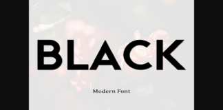 Black Font Poster 1