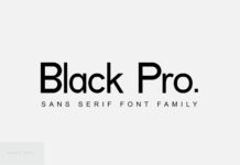Black Pro Font Poster 1