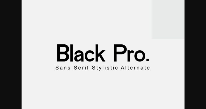 Black Pro Font Poster 7