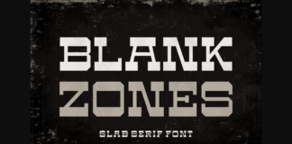 Blank Zones Poster 1