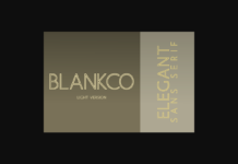 Blankco Outline Light Font Poster 1
