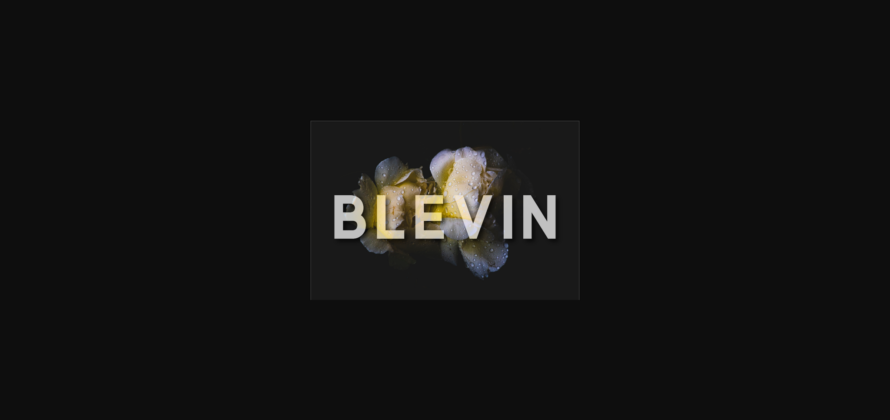 Blevin Font Poster 3