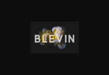 Blevin Font Poster 1