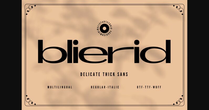 Blierid Font Poster 3