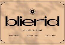 Blierid Font Poster 1