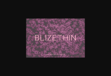 Blizethin Font Poster 1