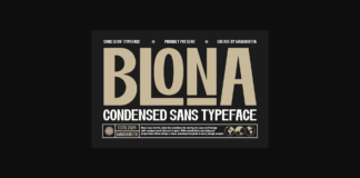 Blona Font Poster 1