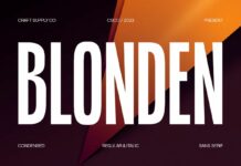 Blonden Font Poster 1