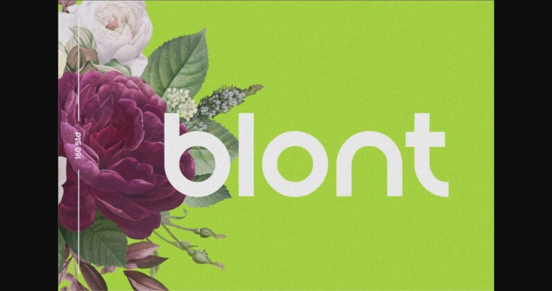 Blont Font Poster 1