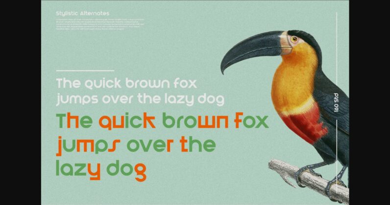 Blont Font Poster 11