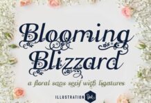 Blooming Blizzard Font Poster 1