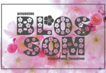 Blossom Font Poster 1