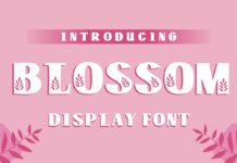 Blossom Font Poster 1