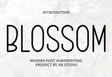 Blossom Font Poster 1