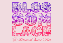 Blossom Lace Font Poster 1