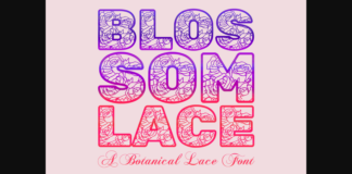 Blossom Lace Font Poster 1