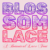 Blossom Lace Font