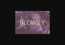 Blowey Font Poster 1
