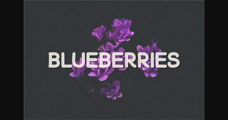 Blueberries Font Poster 3