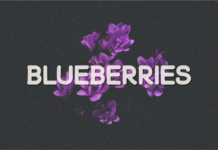 Blueberries Font Poster 1