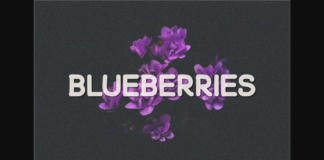 Blueberries Font Poster 1