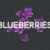 Blueberries Font