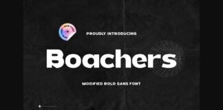 Boachers Font Poster 1