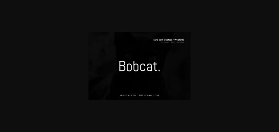 Bobcat Font Poster 3