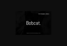 Bobcat Font Poster 1