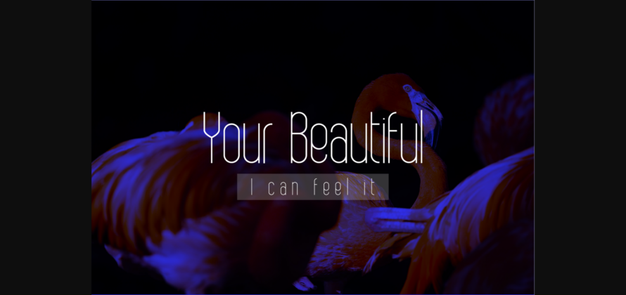 Bobogo Font Poster 8