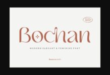 Bochan Font Poster 1