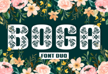 Boga Font Boga Font Poster 1