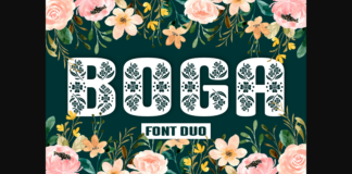 Boga Font Poster 1