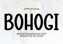 Bohogi Font Poster 1