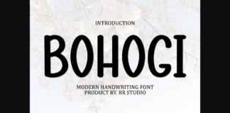 Bohogi Font Poster 1