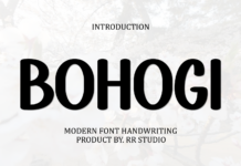 Bohogi Font Poster 1