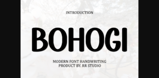 Bohogi Font Poster 1