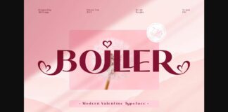 Boiller Font Poster 1