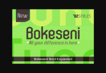 Bokeseni Bold Expanded Font Poster 1